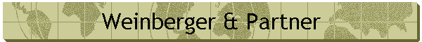 Weinberger & Partner